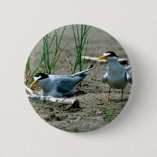 Badge Rond 5 Cm Moindres sternes