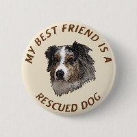 Mon meilleur ami (Australian Shepherd)