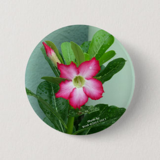 Badge Rond 5 Cm Mon rose de désert
