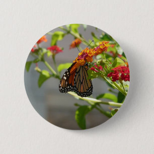 Badge Rond 5 Cm Monarque papillon sur buisson papillon rouge