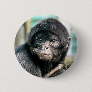 BADGE ROND 5 CM MONKEY