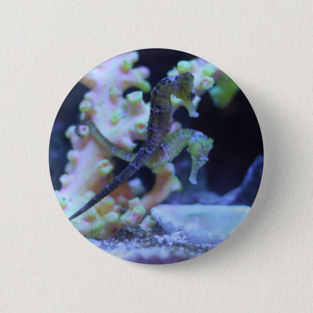 Badge Rond 5 Cm Monte par l'océan (Devant)