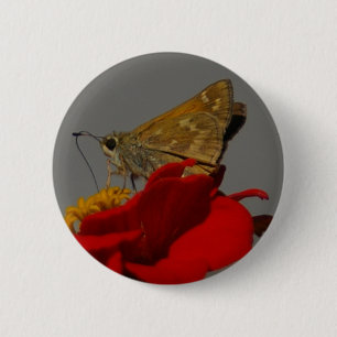 Badge Rond 5 Cm Moth
