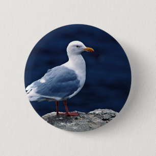 Badge Rond 5 Cm Mouette Glaucous