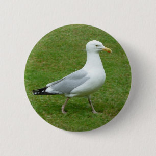 Badge Rond 5 Cm Mouette marchant dans le parc