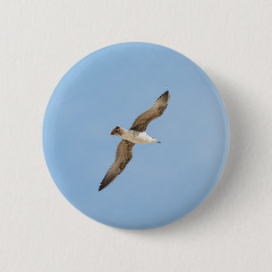 Badge Rond 5 Cm Mouette volante