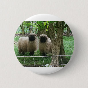 Badge Rond 5 Cm Mouton mignon