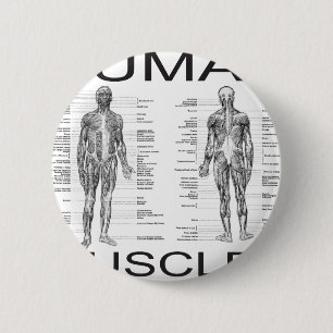 Badge Rond 5 Cm Muscles humains et anatomie