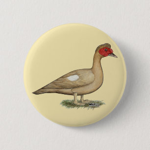 Badge Rond 5 Cm Muscovy light chocolate drake