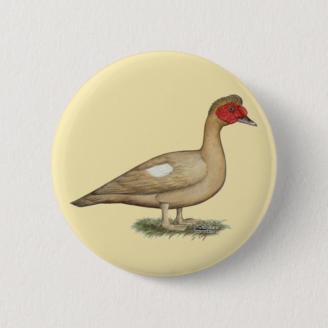 Badge Rond 5 Cm Muscovy light chocolate drake (Devant)