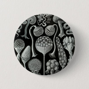 Badge Rond 5 Cm Mycetozoa d'Ernst Haeckel