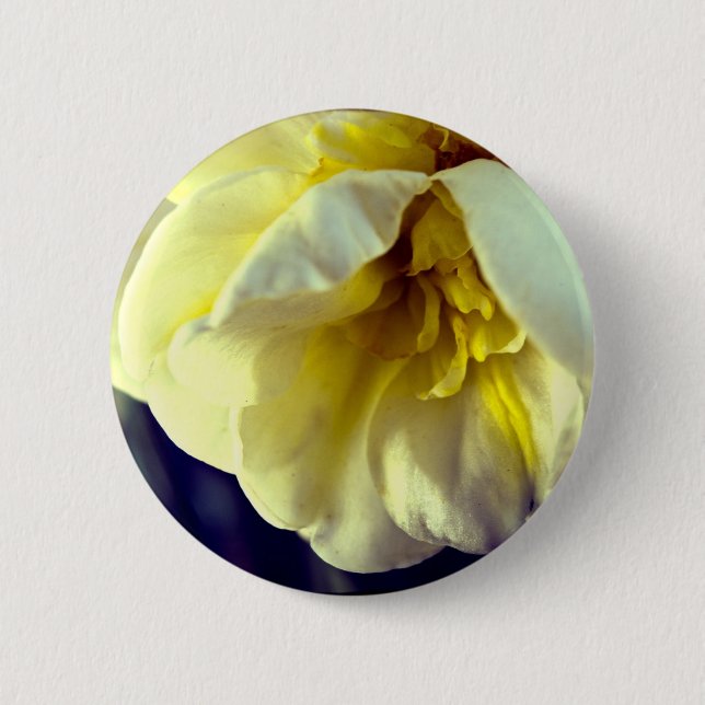 Badge Rond 5 Cm Narcissus Daffodil (Devant)