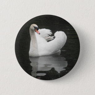 Badge Rond 5 Cm Natation de cygne de bouton