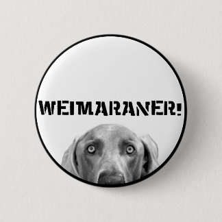 Badge Rond 5 Cm Nation de Weimaraner : Weimaraner dans une boîte !
