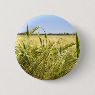 Badge Rond 5 Cm Nature botanique du grain de seigle