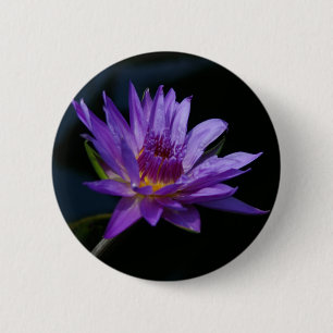 Badge Rond 5 Cm Nénuphar pourpre Lotus