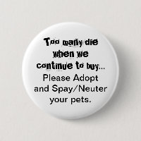 Neuter Spay Adopter Animaux de compagnie