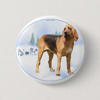 Noel Bloodhound