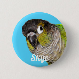 Badge Rond 5 Cm Nom de photo d'oiseau de compagnie personnalisé