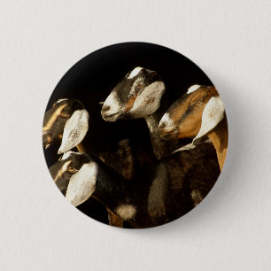 Badge Rond 5 Cm Nubians fait focalisé