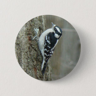 Badge Rond 5 Cm Objets en pics Downy