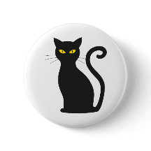 oeil noir du chat