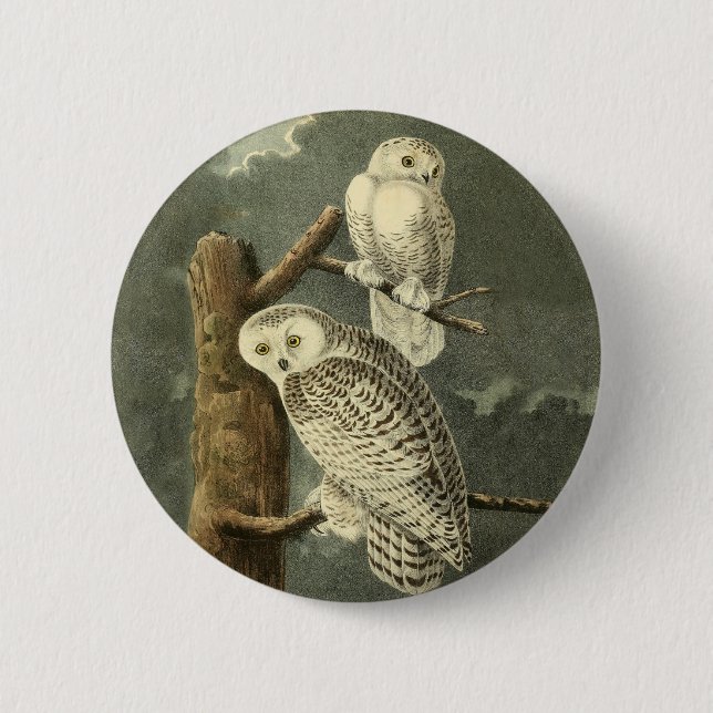 Badge Rond 5 Cm OEuvre d'OEuf Audubon (Devant)