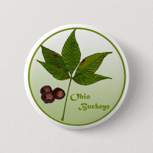 Badge Rond 5 Cm Ohio Buckeye Tree