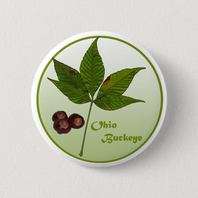 Badge Rond 5 Cm Ohio Buckeye Tree (Devant)