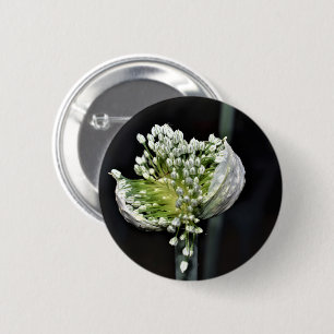 Badge Rond 5 Cm Oignon de printemps