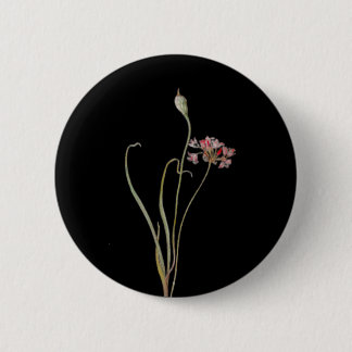 Badge Rond 5 Cm Oignon sauvage