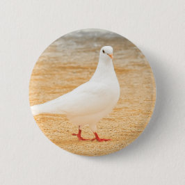 Badge Rond 5 Cm Oiseau blanc mignon de pigeon