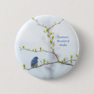 Badge Rond 5 Cm Oiseau bleu oriental d'oiseau animal