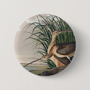 Badge Rond 5 Cm Oiseau de Courlis à long bec Audubon