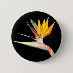 Badge Rond 5 Cm Oiseau d'insigne d'usine de paradis