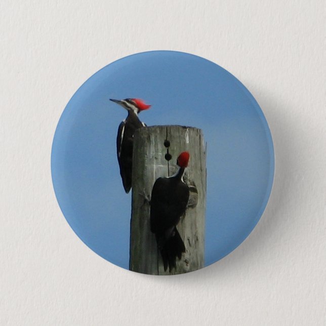 Badge Rond 5 Cm Oiseaux sur un pôle (Devant)