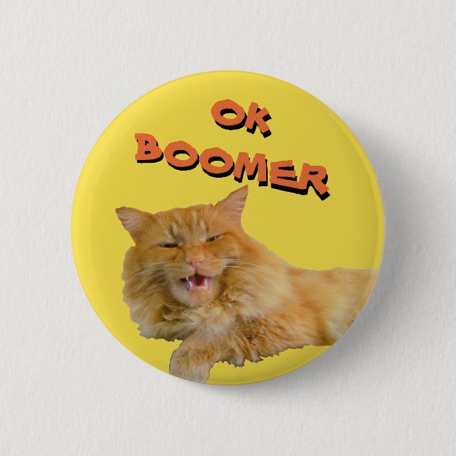 Badge Rond 5 Cm Ok Boomer Parle Cat Meme (Devant)