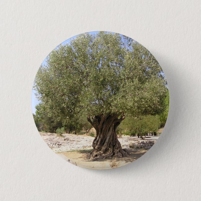 Badge Rond 5 Cm Olivier de l'Israël (Devant)