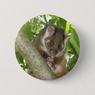 Badge Rond 5 Cm Opossum dans un arbre
