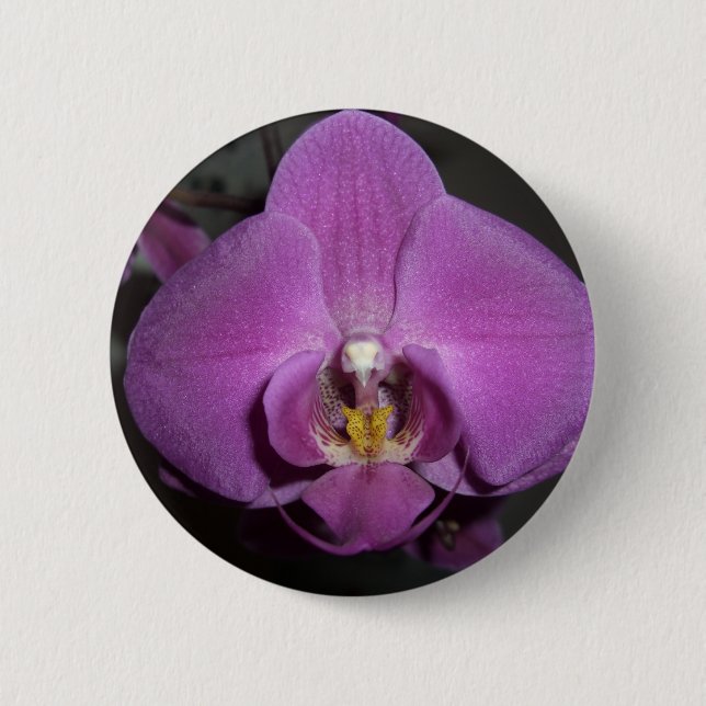 Badge Rond 5 Cm Orchidée pourpre jaune principale de léopard (Devant)