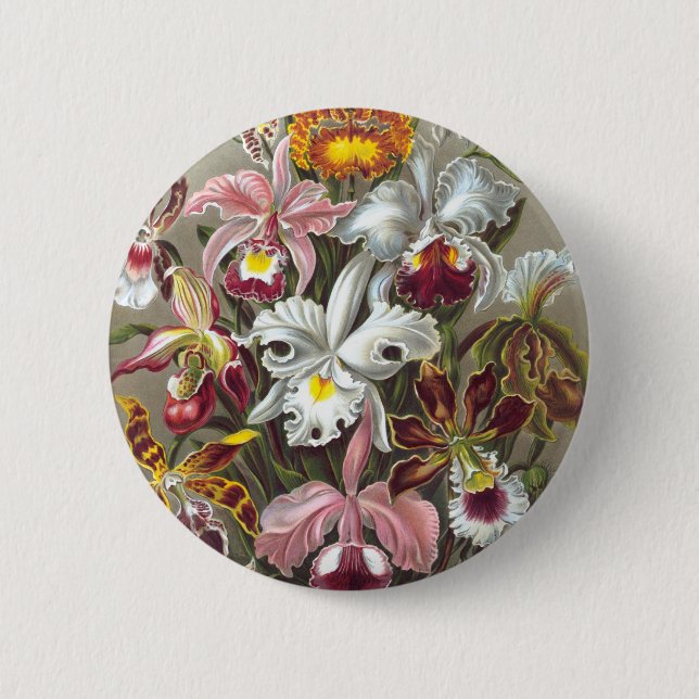 Badge Rond 5 Cm Orchidées Ernst Haeckel Fine Art (Devant)