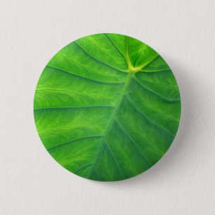 Badge Rond 5 Cm Oreilles éléphantes - Colocasia