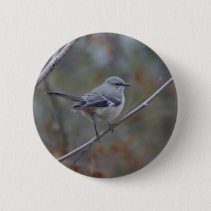 Badge Rond 5 Cm Ornithologie de moqueur