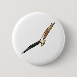 Badge Rond 5 Cm Osprey