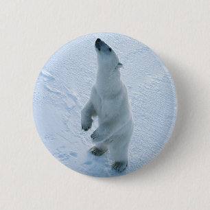 Badge Rond 5 Cm Ours blanc debout