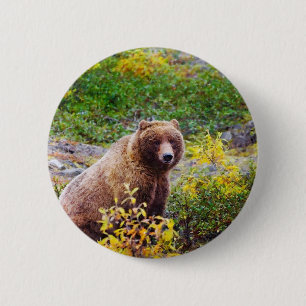 Badge Rond 5 Cm Ours mou dans la forêt Bois Animaux bouton épingle