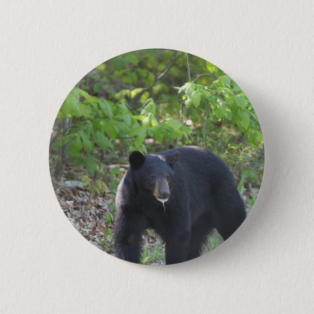 Badge Rond 5 Cm ours noir (Devant)