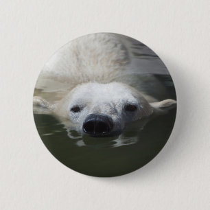 Badge Rond 5 Cm Ours polaire