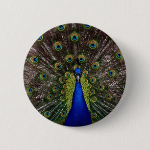 Badge Rond 5 Cm Pacock