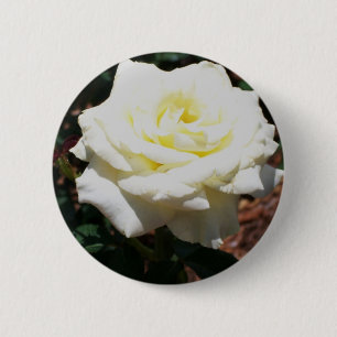 Badge Rond 5 Cm Pale Yellow Rose